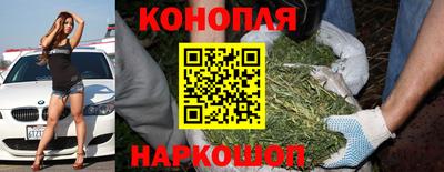 ALPHA PVP Новозыбков